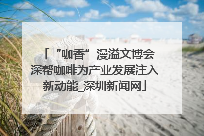 “咖香”漫溢文博会 深帮咖啡为产业发展注入新动能_深圳新闻网